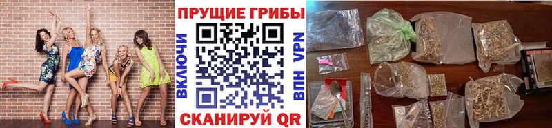 что такое наркотик  Тбилисская  Галлюциногенные грибы GOLDEN TEACHER 